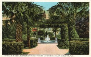 Vintage Postcard 1920's Fountain In Hotel Alcazar Grounds Ponce De Leon Florida