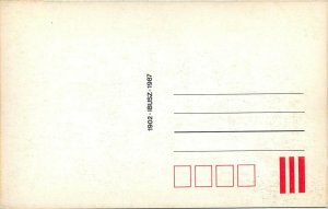 Hungary Pecs trams tramway modern repro postcard