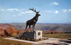 Elks War Memorial Berkshires, Massachusetts, USA Deer Unused 
