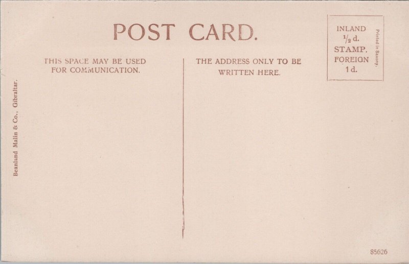 Gibraltar Rosia Bay And New Mole Vintage Postcard C117