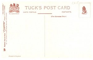 Dog  ,Drawing the Cover  ( Fox Hunt )