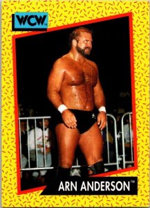 1991 WCW Wrestling Card Arn Anderson sk21233