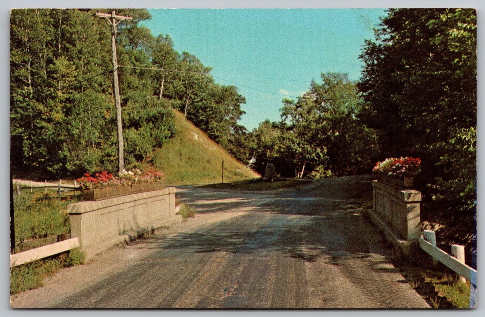 Ripton Vermont Bridge Of Flowers Scenic City Landmark Chrome UNP Postcard United States