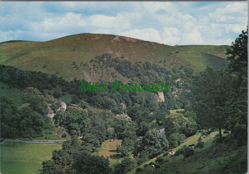 Staffordshire Postcard - View of Manifold Valley RR16033