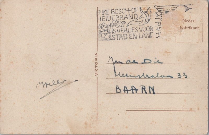 Anthropomorphic Cats Dancing Vintage Postcard B160