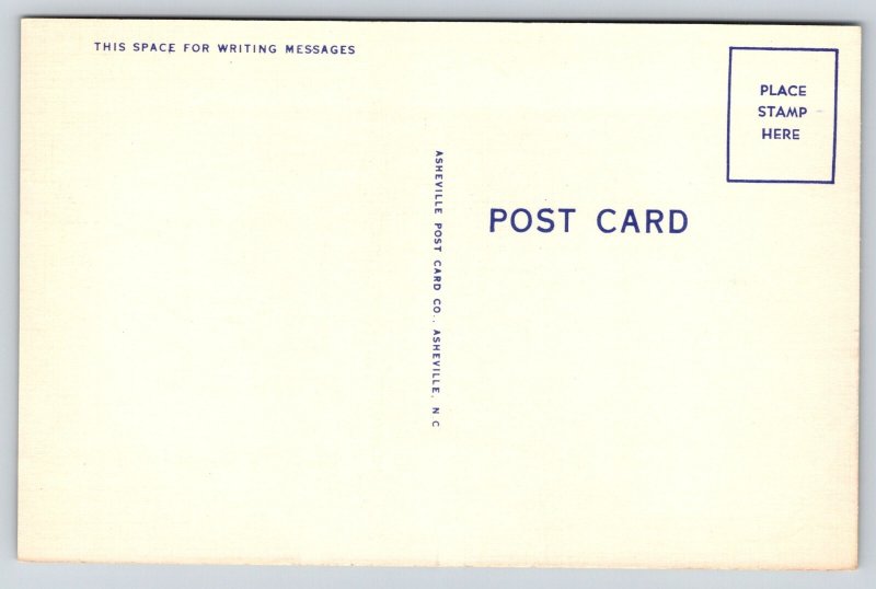 Greenville SC~Buncombe Street Methodist Church~Vintage Linen Postcard