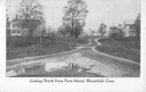 Bloomfield Connecticut Farm School Street View Antique Postcard K56460