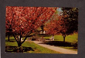 NJ Apple Blossom Time Tree St Francis Health Resort Denville New Jersey Postcard