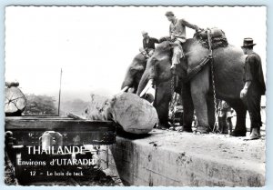 RPPC THAILAND ~ Teak Logging ELEPHANTS d'Utarradit  4x6 Postcard