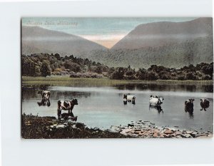 Postcard Middle Lake Killarney Ireland