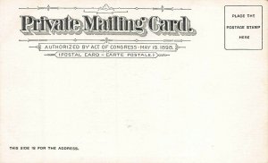 Vanderbilt Hall, Yale University, New Haven, CT., 1898  Private Mailing  Card