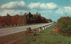 Postcard Picturesque Long Island Scenic Roads Winding Lanes Harbors Beaches NY