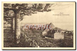 Postcard Old Nyon Promenade Marronnaiers