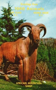 Vintage Postcard Alaska Fir & Game Farms African Mountain Sheep Ausable Chasm NY