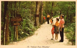 Vintage Postcard Nature Own Attraction Homosassa Springs St. Petersburg Florida