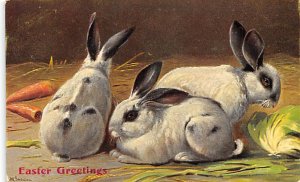 Easter Greetings Rabbits Unused 