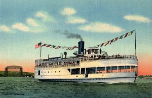 Vintage S.S. Wayne Toledo Excursions Inc Steam Ship River Lake Postcard P218 