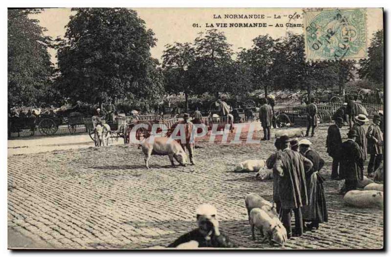 Old Postcard Folklore Normandy Pig In Pig Fairgrounds