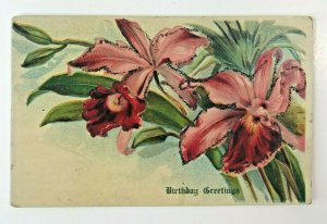 Circa 1907-15 Embossed Floral w/ Mica Birthday Greetings 2T5-565