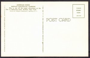 NY - Buffalo Zoological Gardens – American Bison