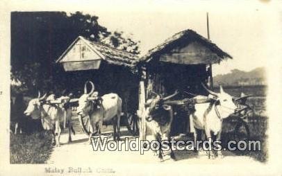 Real Photo Malay Bullock Carts Malaysia Writing On Back 