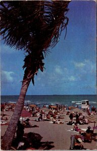 Florida Greetings From Destin Beach Scene 1953