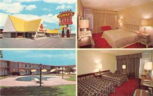 Fredericksburg Virginia views of Horne's Motor Lodge vintage pc Y15677