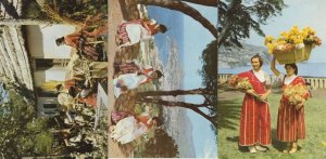 Obra De Vimes Camacha Madeira Spain Costume Fashion 3x Postcard s