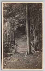 Jackson NH RPPC Mirror Lake Path Where One Can Have A Good Time Postcard Y24
