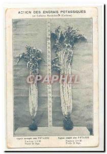 Postcard Old Action potassium fertilizers on vegetable crops (chard) Rare agr...