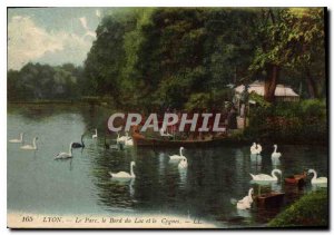 Old Postcard Lyon The Lake Edge Park and the Swan