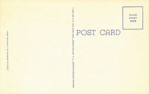 LPS46 CADILLAC MICHIGAN LARGE BIG Letter Postcard