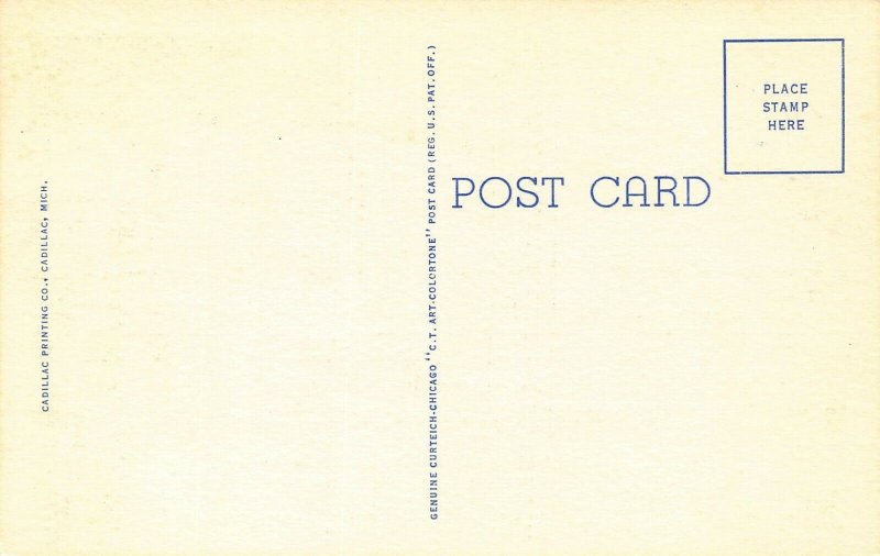 LPS46 CADILLAC MICHIGAN LARGE BIG Letter Postcard
