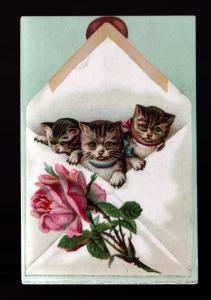 Kittens Akaba Coffee Advertising  Picture Postcard!