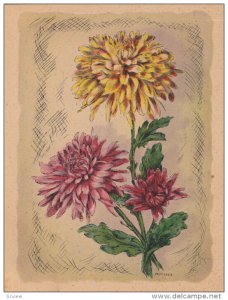 AS; P. Schierer, Pink and Yellow Chrysanthemums, 00-10s