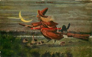 Salem Witch Flying Broom across Night Sky with Black Cat over a Village