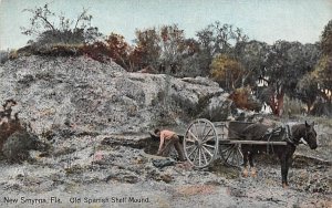 Old Spanish Shell Mound New Smyrna Beach, Florida