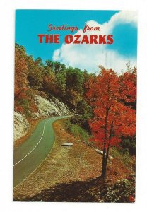 Postcard Greetings from The Ozarks Fall Delight Trees Autumn Standard View Card 