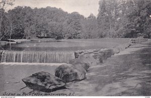 WASHINGTON D.C. , PU-1909; Scene in Rock Creek