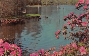 Swan Lake Gardens Sumter, South Carolina