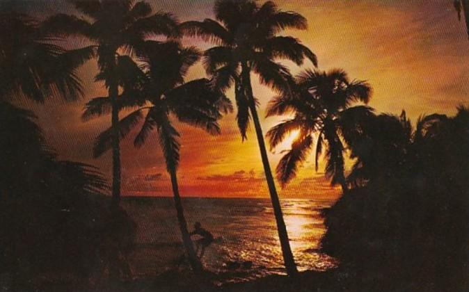 Hawaii Sunset Scene