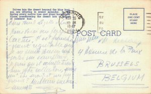 USA A Desert Landscape Arizona Postcard 08.10 