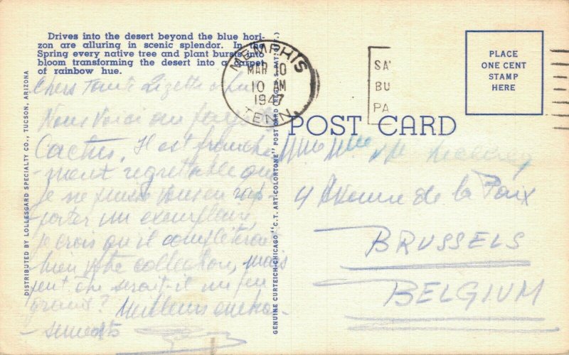 USA A Desert Landscape Arizona Postcard 08.10 