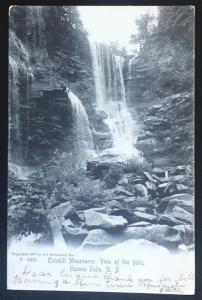 Catskill Mountains Haines Falls NY 1906 The Rotograph Co A6495