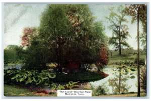 View Of The Island Overton Park Zoo Memphis Tennessee TN Antique Postcard