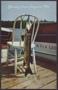 Greetings From Hayward,WI,Muskellunge Postcard