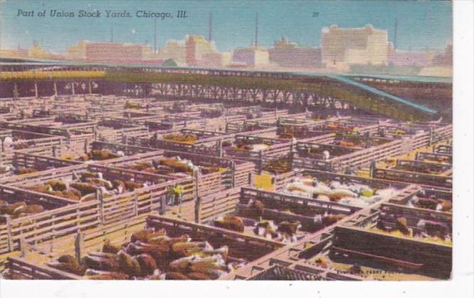 Illinois Chicago Union Stock Yards Cattle Pens