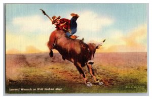 Postcard Leonard Womach On Wild Brahma Steer 