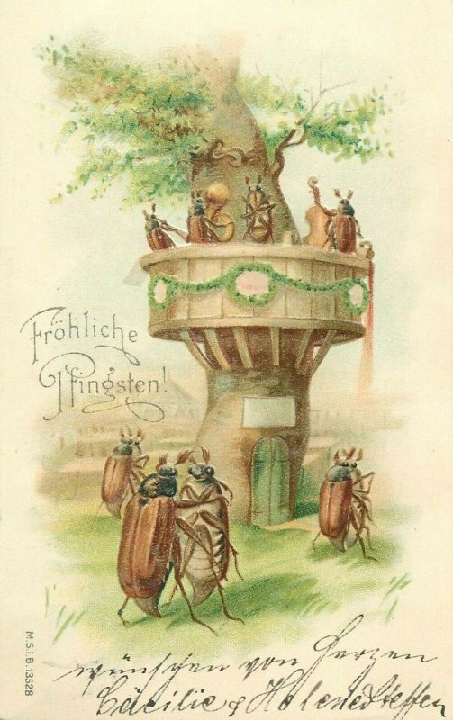 Pentecost beetle bugs dancing fantasy 1905 postcard