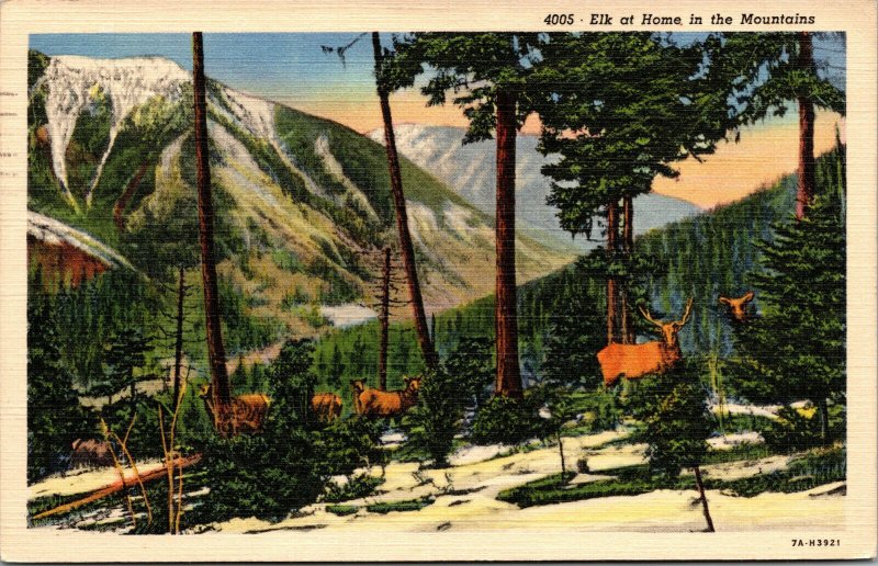 Vtg 1930s Elk at home in the Mountains Helena Montana MT Linen Postcard